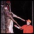 whitetail deer